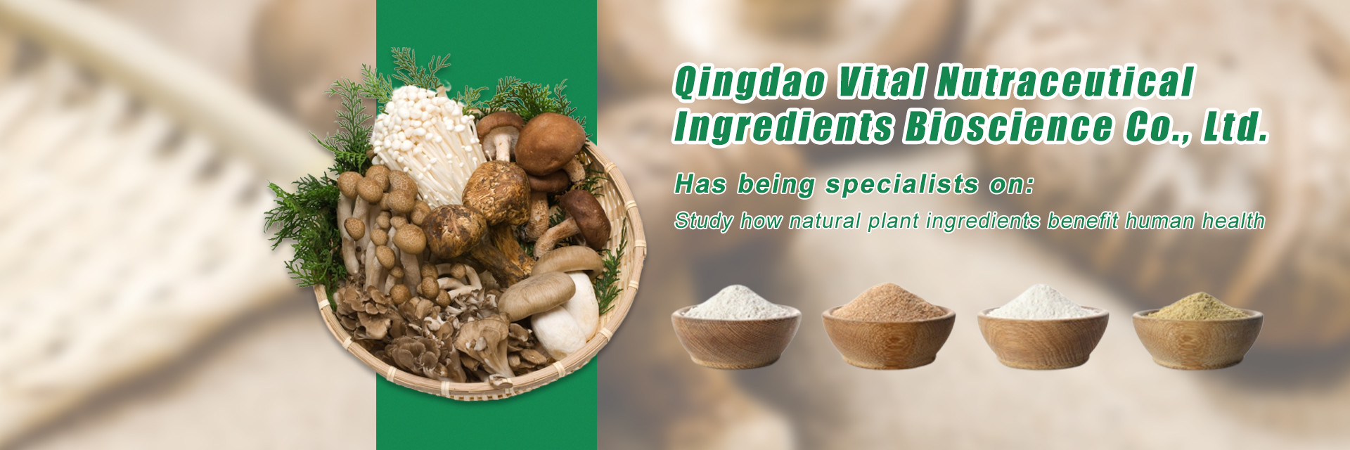 جودة مستخلص من الأعشاب النباتية مصنع