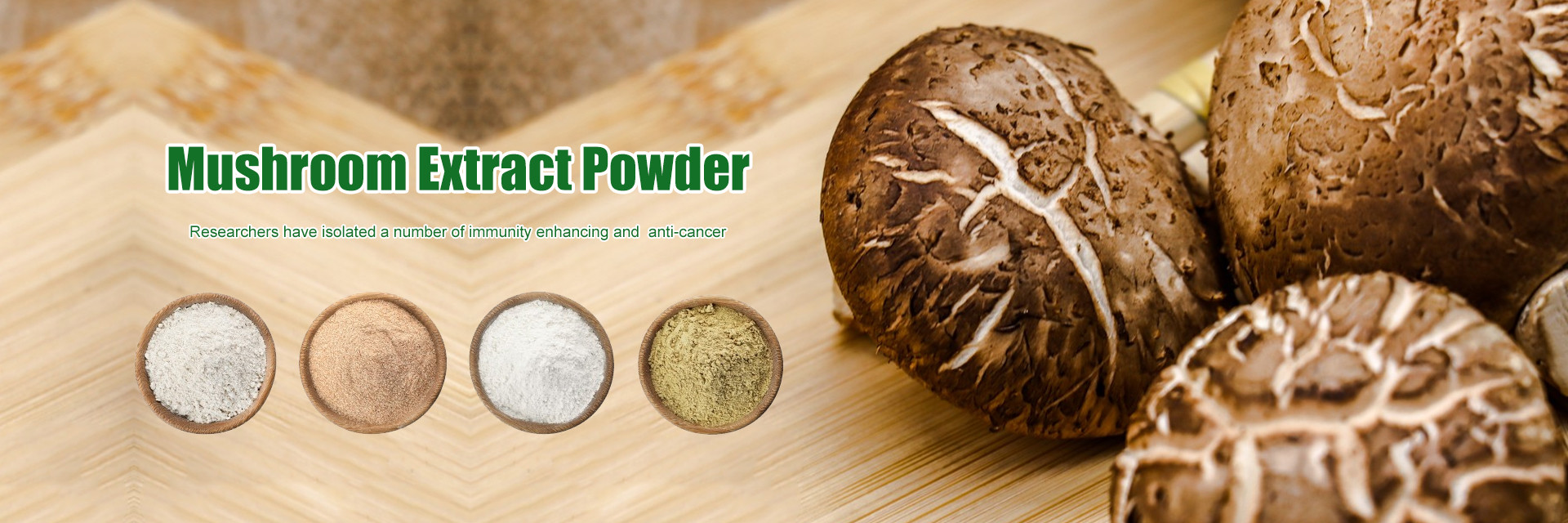 جودة مستخلص من الأعشاب النباتية مصنع